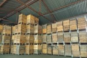 warehouse for  Factory/ storage use with 1,000m2