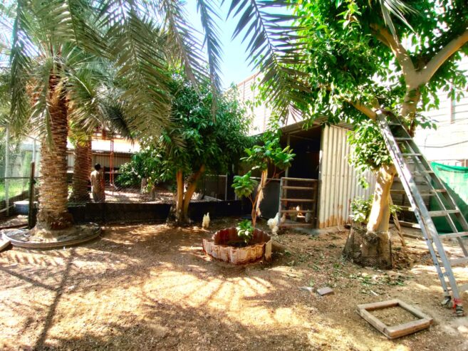 Garden Land for Rent with Animal & Bird Cages in Jeblat Hebshi – BD 500 (Inclusive)