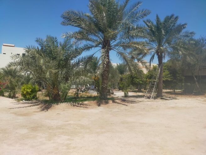 Garden Land for leasing in Jabalat Hibshi BD.0.500/- per sqm with EWA