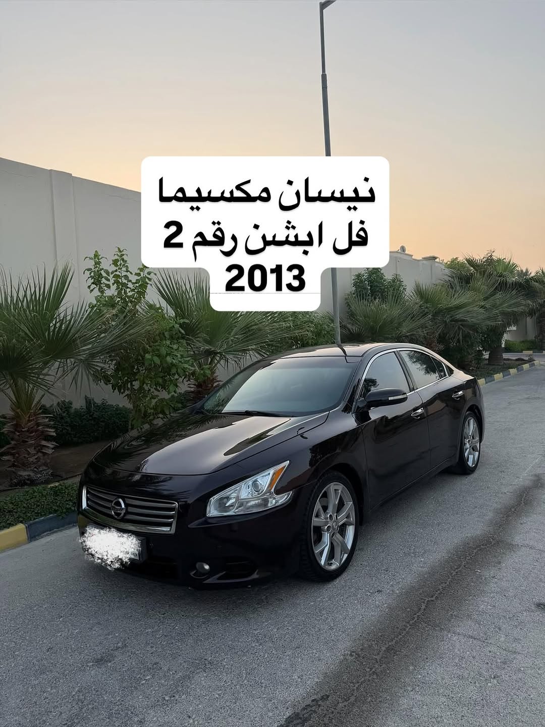 2013 Nissan Maxima For Sale