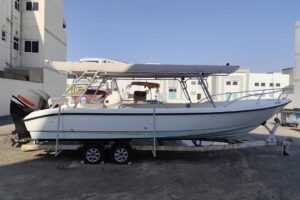 For sale: Al Dhaen 31 ft, model 2010. Ready for sea.