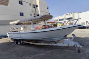 For sale: Al Dhaen 31 ft, model 2010. Ready for sea.