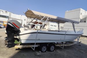 For sale: Al Dhaen 31 ft, model 2010. Ready for sea.