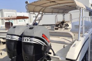 For sale: Al Dhaen 31 ft, model 2010. Ready for sea.