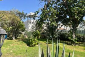 BHD 575, Furnished, Spacious Green Villa For Rent In Saar Area | Ideal For Families