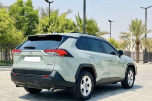 For Sale: 2019 Toyota RAV4 – Low Mileage, All Original Paint, Excellent Condition