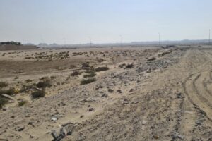 Seafront Land for Sale in Jo – Prime Investment Opportunity, 24,999 Sq. Meters