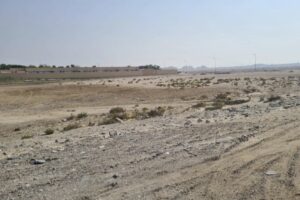 Seafront Land for Sale in Jo – Prime Investment Opportunity, 24,999 Sq. Meters