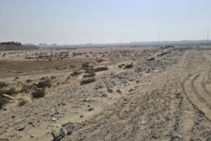 Seafront Land for Sale in Jo – Prime Investment Opportunity, 24,999 Sq. Meters