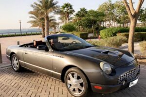 For Sale: 2003 Ford Thunderbird