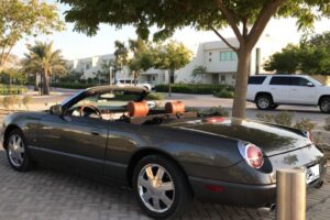 For Sale: 2003 Ford Thunderbird