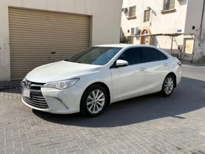 587305971_1351069293151814_714471642308480210_n