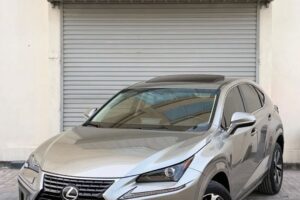 For sale Lexus NX300