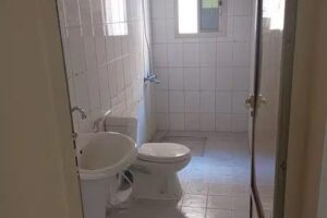 Spacious 2 Bedroom Apartments for Rent