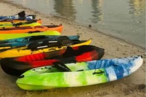 Kayaks,Pedal Boat,Water Cycle & Paddle Board For Urgent Sale
