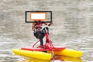 Kayaks,Pedal Boat,Water Cycle & Paddle Board For Urgent Sale