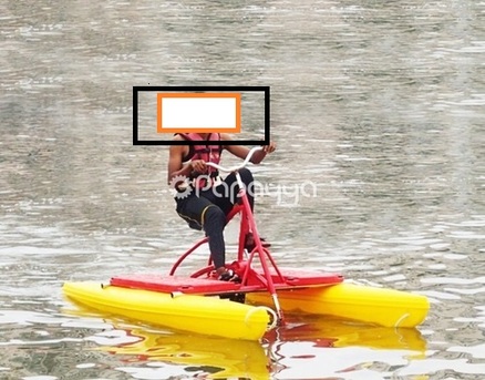 Kayaks,Pedal Boat,Water Cycle & Paddle Board For Urgent Sale