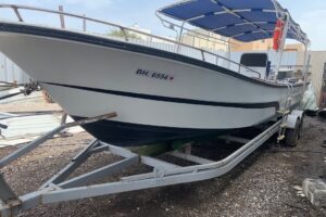For sale: 29ft clean boat