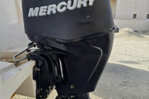 For sale: Mercury engine 50 hp