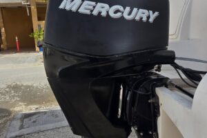 For sale: Mercury engine 50 hp