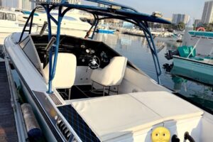 26ft Wellcraft Nova Spyder American Sport Boat for Sale