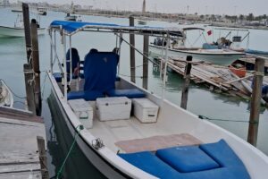 For sale: Cruiser 25 Darazi model 2012