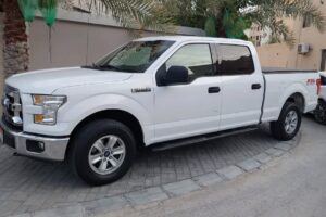 For sale: Ford F150 XLT, 2017