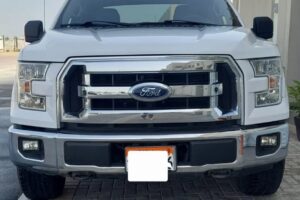 For sale Ford F150 XLT Model / 2017