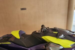 Seadoo Rxp-x 300 Model: 2021