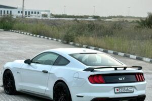 For Sale: 2018 Ford Mustang PP1 Performance Package