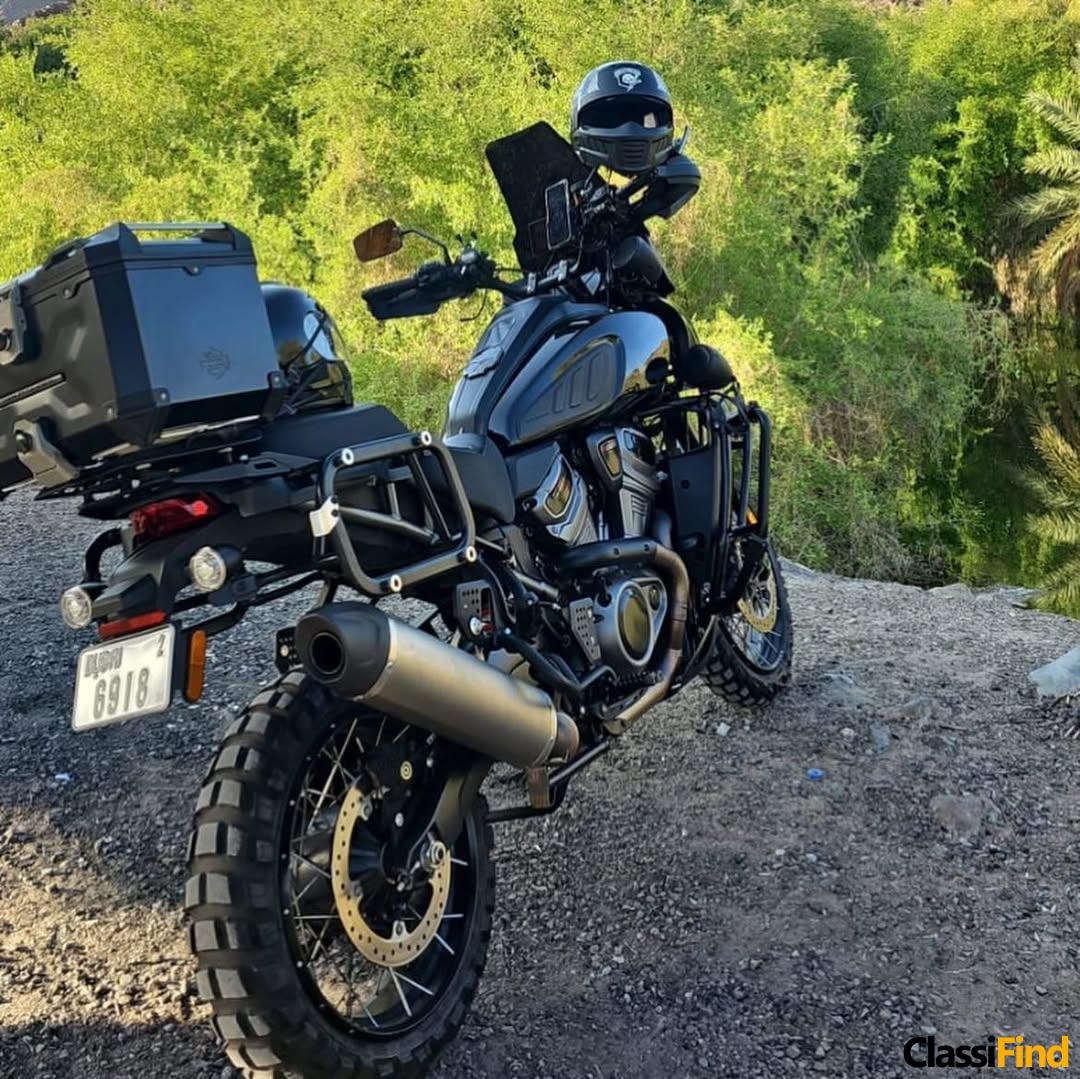 2021 Harley-Davidson Pan America Special for Sale (Gulf Specs)