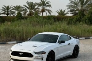 For Sale: 2018 Ford Mustang PP1 Performance Package