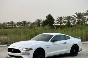 For Sale: 2018 Ford Mustang PP1 Performance Package