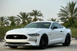 For Sale: 2018 Ford Mustang PP1 Performance Package