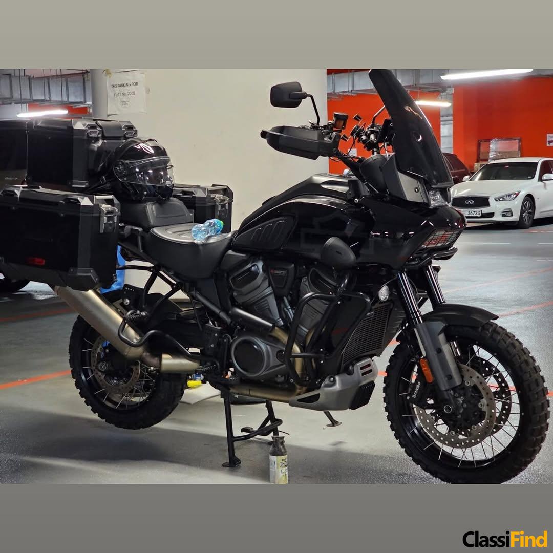2021 Harley-Davidson Pan America Special for Sale (Gulf Specs)
