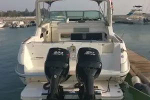 للبيع: يخت Sea Ray Baby 1990 / 29.8 قدم