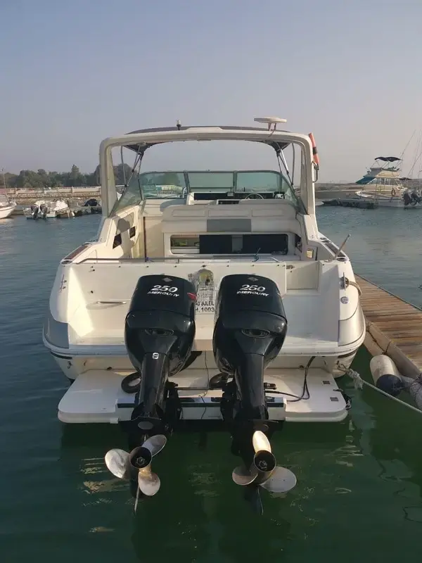 للبيع: يخت Sea Ray Baby 1990 / 29.8 قدم