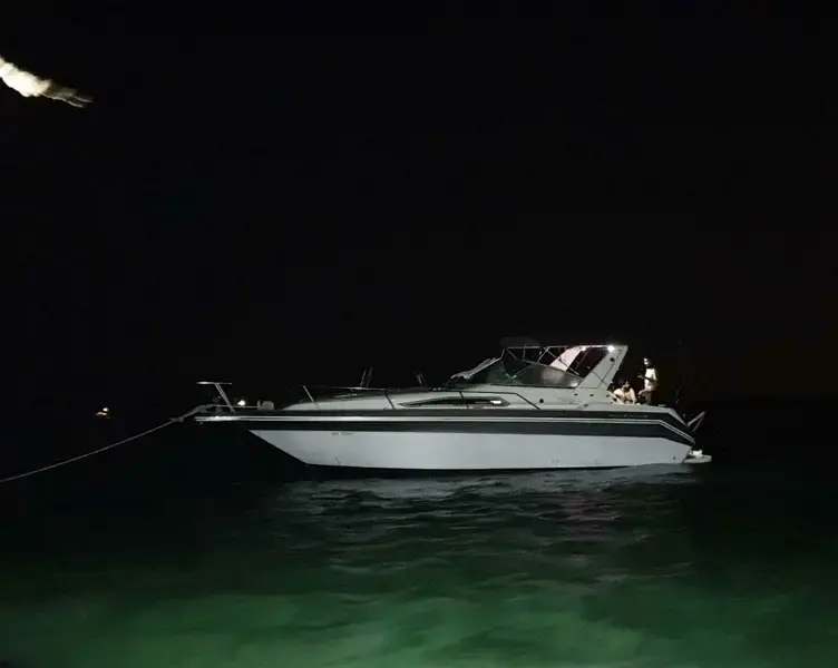 للبيع: يخت Sea Ray Baby 1990 / 29.8 قدم