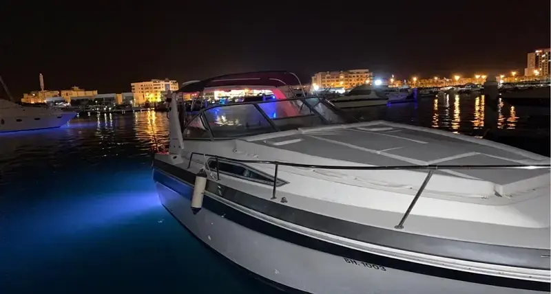 للبيع: يخت Sea Ray Baby 1990 / 29.8 قدم