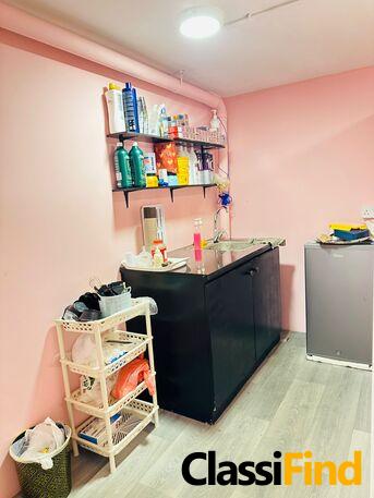 A Ladies Salon For Sale