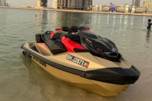 Type: Seadoo RXP-X 325 2025