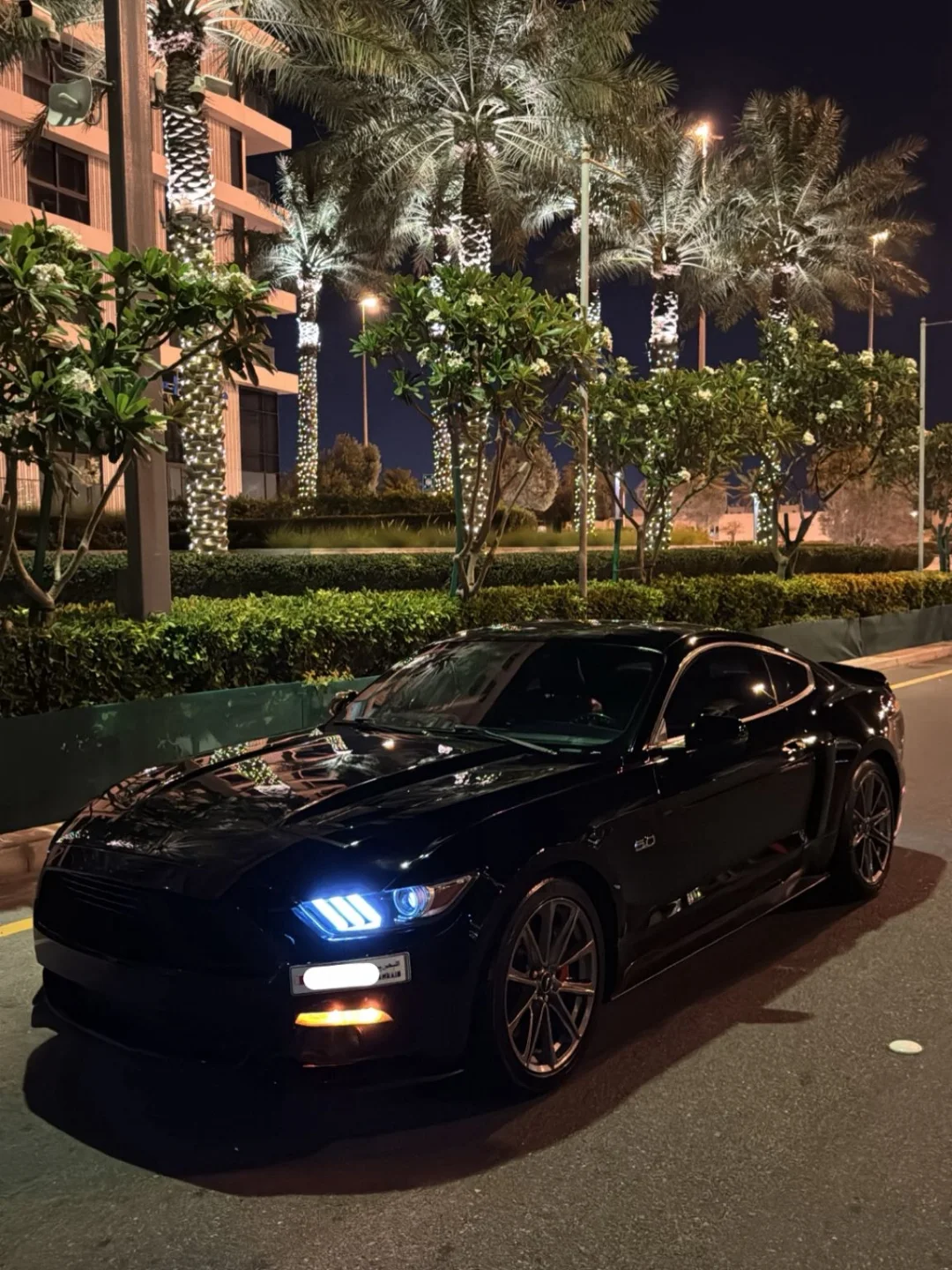 2015 Mustang, 5.0L engine