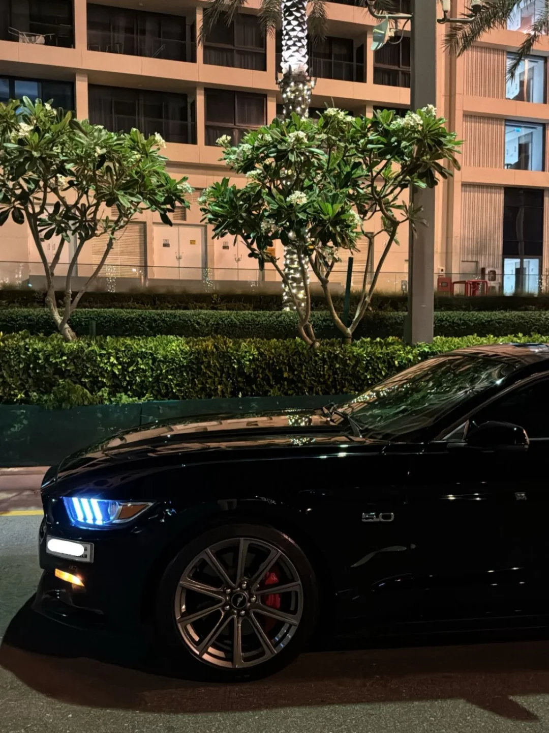 2015 Mustang, 5.0L engine