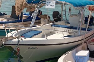 For sale: Al-Dhaen boat, 2012 model, 31 feet