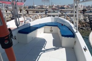 For sale: Al-Dhaen boat, 2012 model, 31 feet