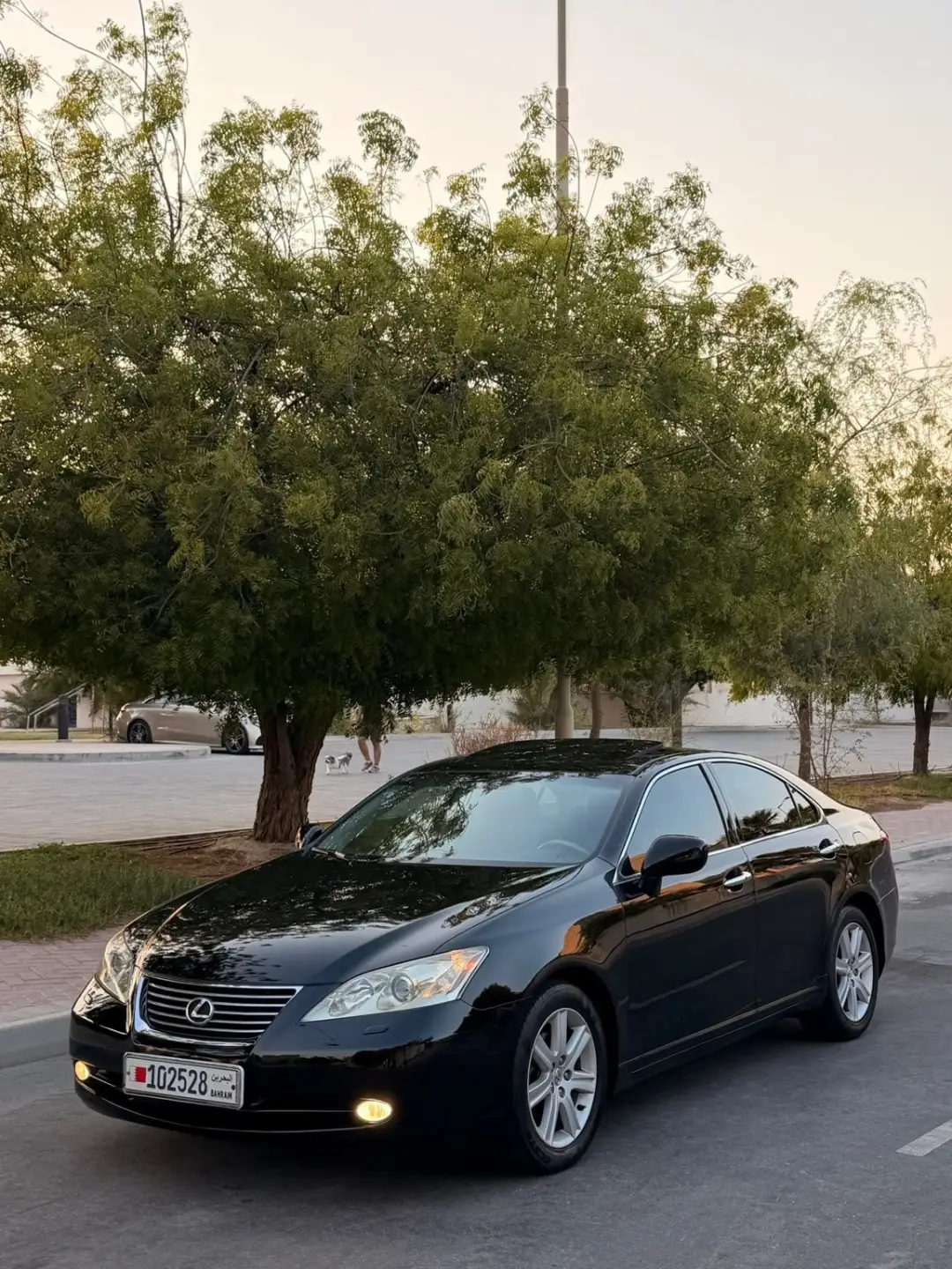 Lexus ES 2007