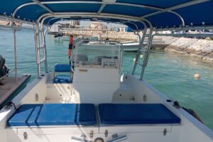 For sale: Al-Dhaen boat, 2012 model, 31 feet