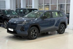 Toyota Rav-4 / 2026 (Grey)