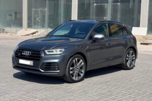Audi SQ5 / 2017 (Grey)