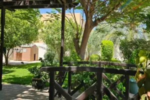 Double Plot Villas with Pool for Sale in Prime Saar Location